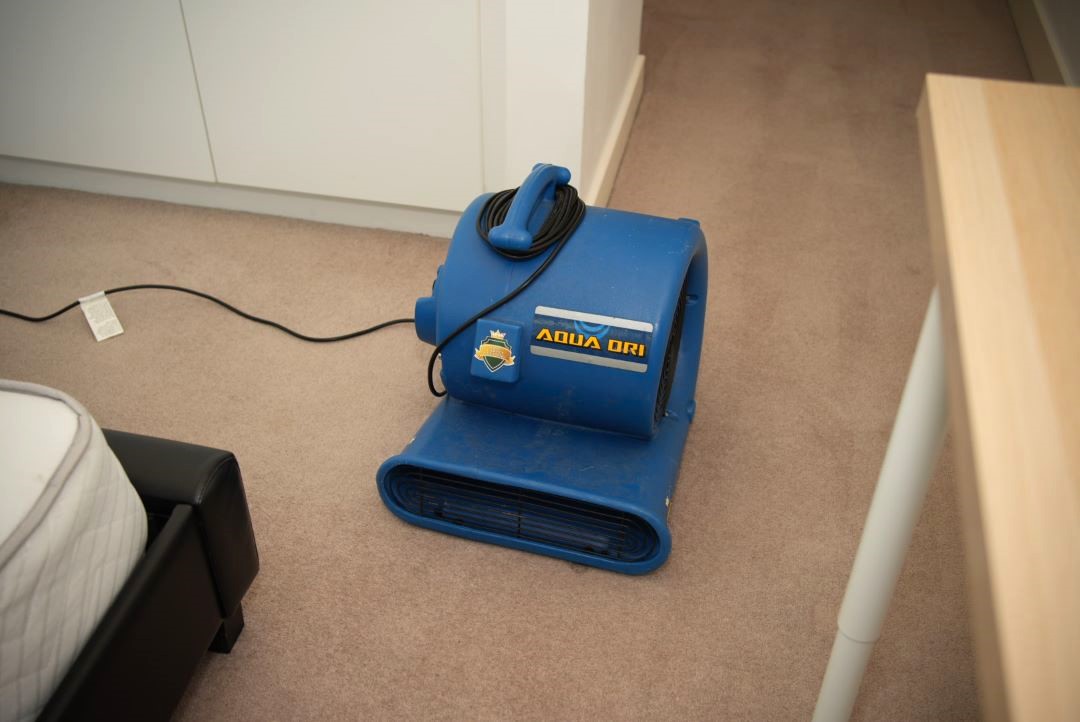 2-quick-dry-carpet-cleaning