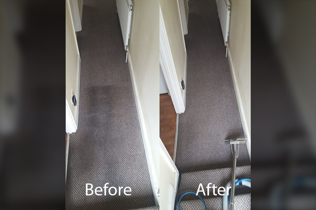 7-same-day-carpet-cleaning-1