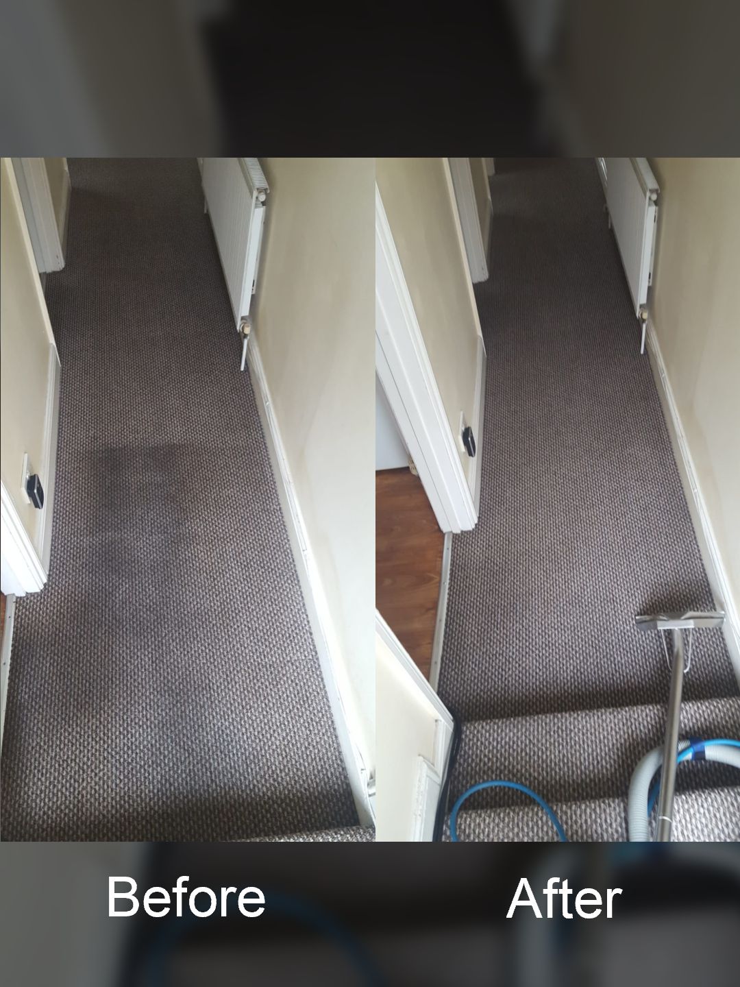 1-same-day-carpet-cleaning