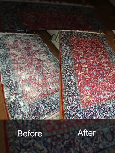 15-water-free-carpet-cleaning