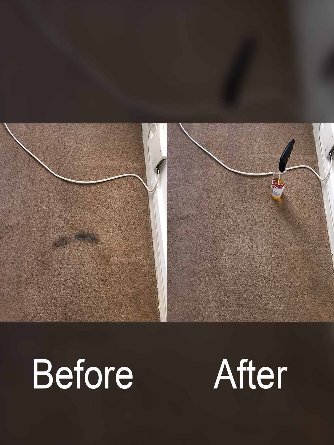 17-professional-carpet-stain-removal