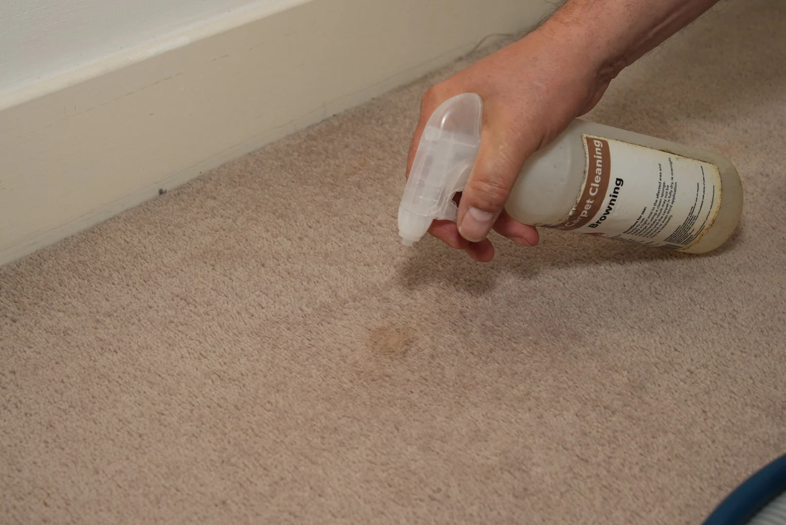 carpet-cleaning-ha8