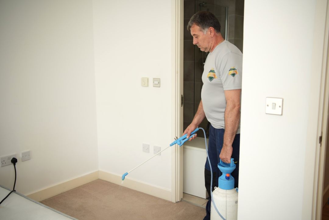 carpet-cleaning-kilburn