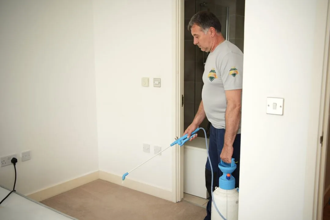 carpet-cleaning-edgware