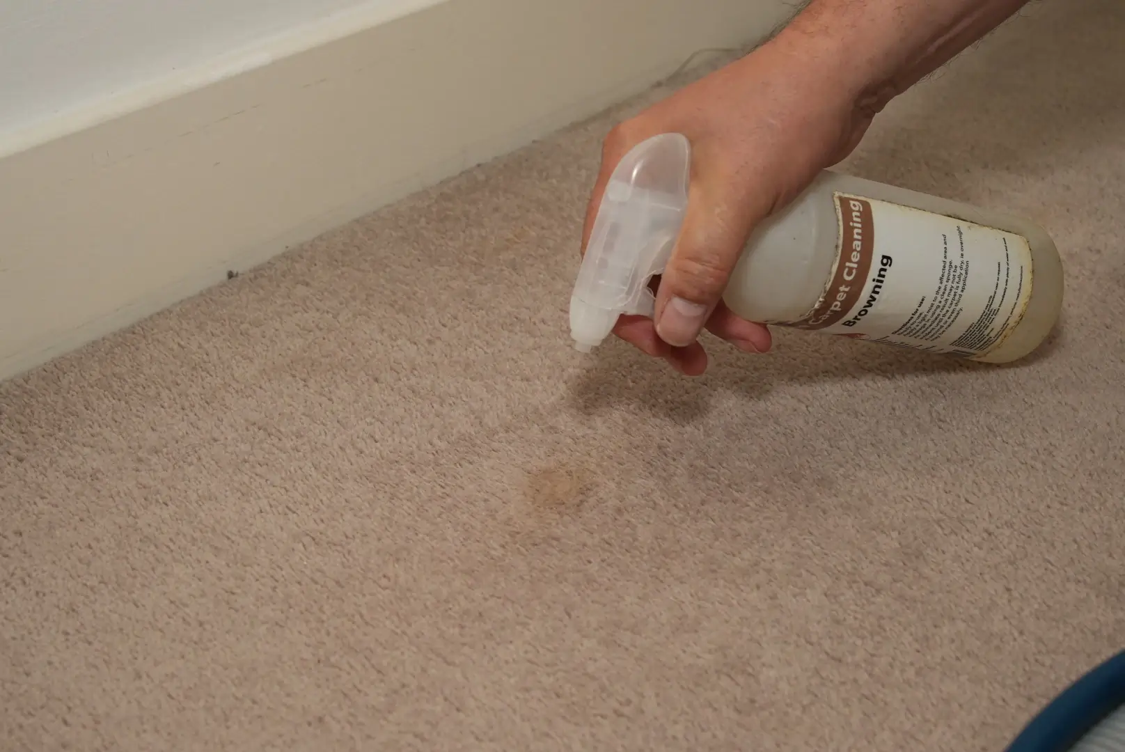 carpet-cleaning-highgate