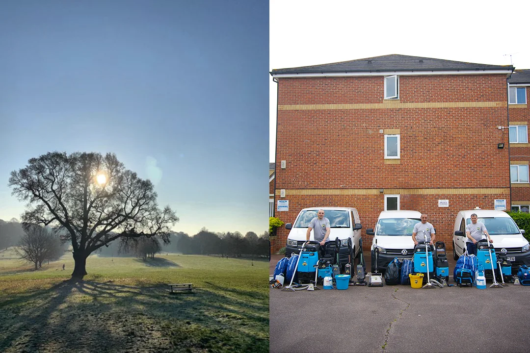 carpet-cleaning-lewisham