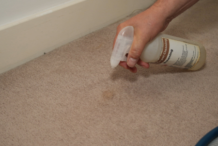 professional-stain-removal-service