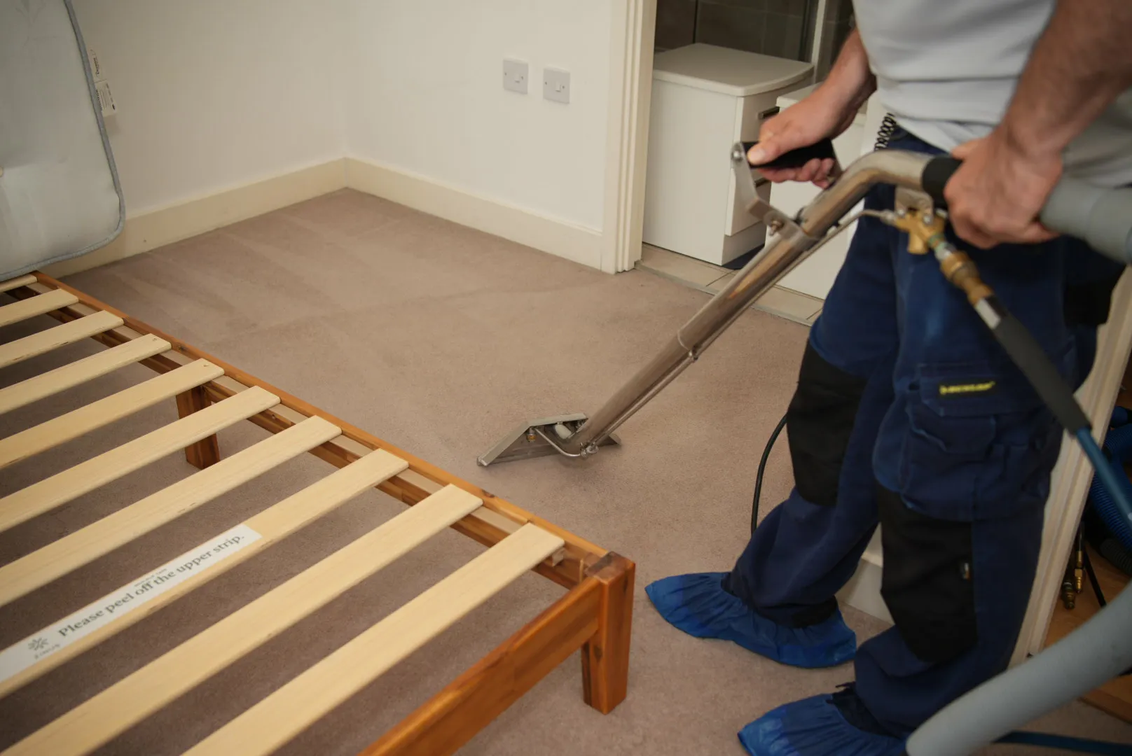 carpet stain removal service