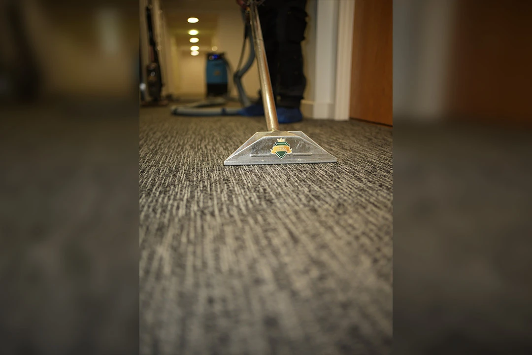 carpet-deep-clean