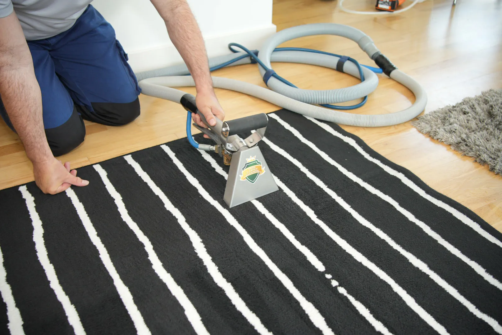 rug stain removal service
