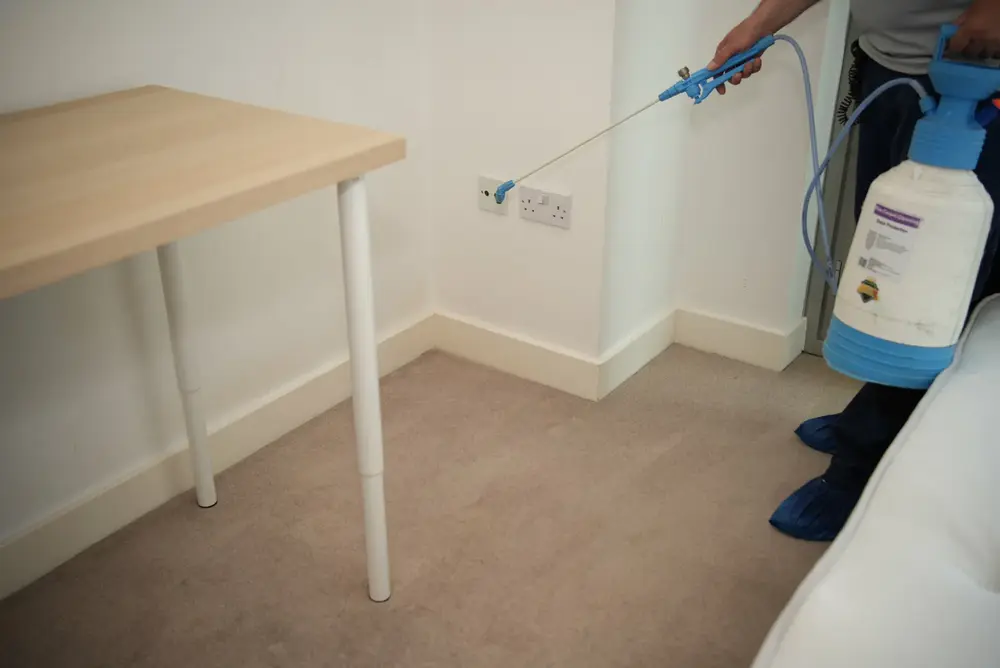 carpet cleaning and scotchgard