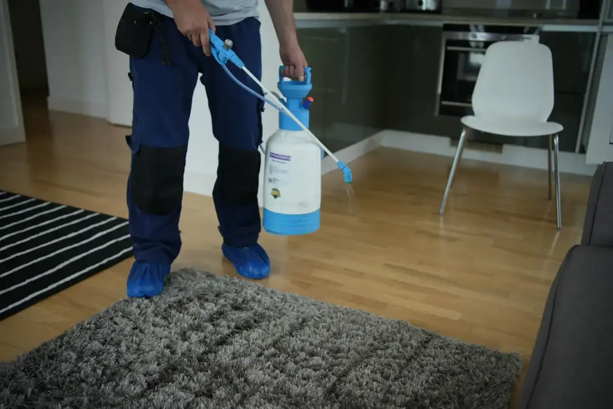 rug-stain-protection-services