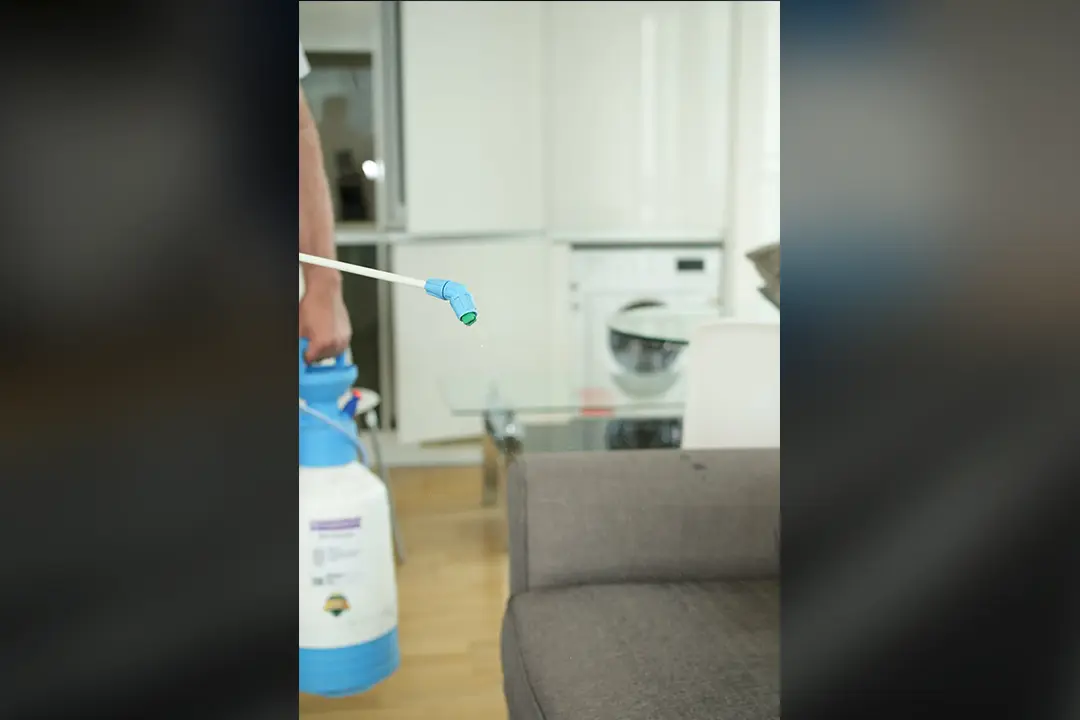 professional upholstery protection application