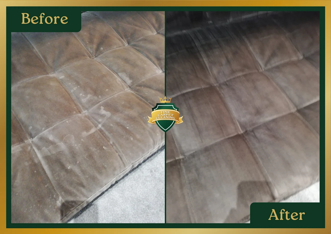 sofa cushion cleaning service